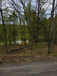 0 VILLAGE 1 ROAD Muskoka Lakes (Watt) Ontario photo 4