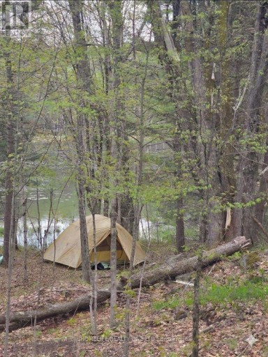 0 VILLAGE 1 ROAD, Muskoka Lakes (Watt), Ontario, P0B1M0