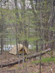 0 VILLAGE 1 ROAD Muskoka Lakes (Watt) Ontario photo 6