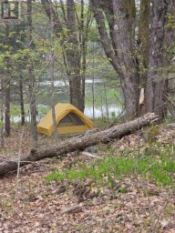 0 VILLAGE 1 ROAD Muskoka Lakes (Watt) Ontario photo 8