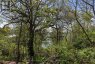 11 FRONT STREET, Leeds And The Thousand Islands, Ontario, K0E1V0 (ID X13163446)
