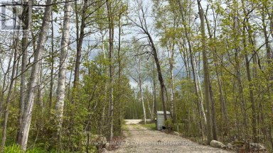 629 BRUCE ROAD 13 ROAD Native Leased Lands Ontario photo 12