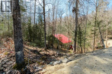 34 LAURENTIAN CRESCENT Mattawan Ontario photo 4