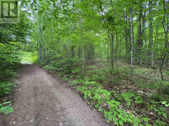 1043 LAWRENCE PIT ROAD Muskoka Lakes (Watt) Ontario photo 1