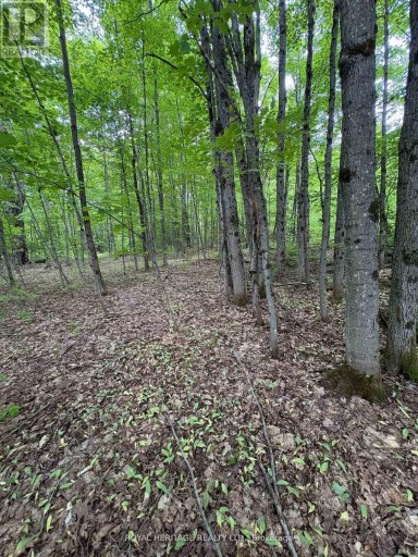 1043 LAWRENCE PIT ROAD, Muskoka Lakes (Watt), Ontario, P0B1M0