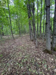 1043 LAWRENCE PIT ROAD Muskoka Lakes (Watt) Ontario photo 3
