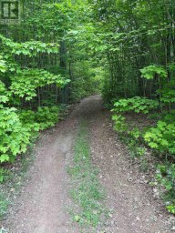 1043 LAWRENCE PIT ROAD Muskoka Lakes (Watt) Ontario photo 4
