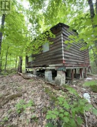 1043 LAWRENCE PIT ROAD Muskoka Lakes (Watt) Ontario photo 6