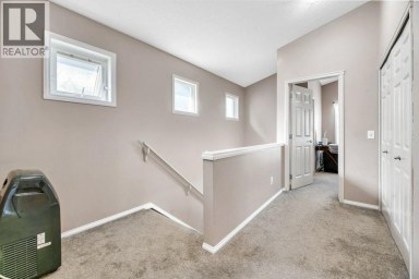 319 Saddlebrook Circle NE Calgary Alberta photo 19