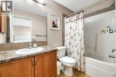 319 Saddlebrook Circle NE Calgary Alberta photo 22