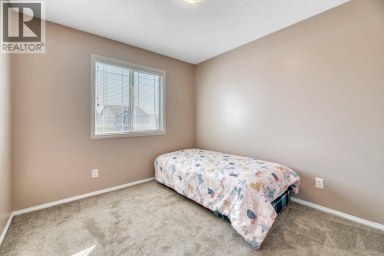 319 Saddlebrook Circle NE Calgary Alberta photo 23