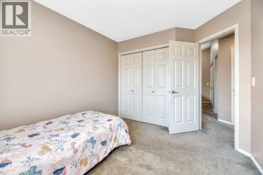 319 Saddlebrook Circle NE Calgary Alberta photo 24