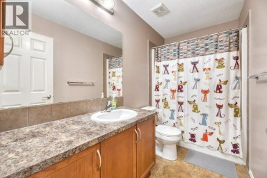 319 Saddlebrook Circle NE Calgary Alberta photo 27
