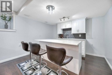 319 Saddlebrook Circle NE Calgary Alberta photo 33