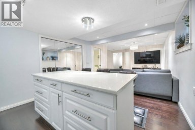 319 Saddlebrook Circle NE Calgary Alberta photo 34