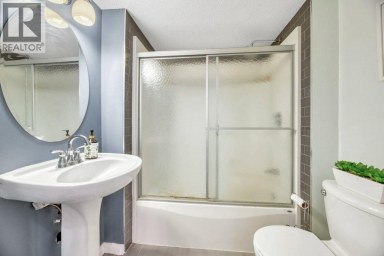 319 Saddlebrook Circle NE Calgary Alberta photo 35