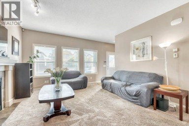 319 Saddlebrook Circle NE Calgary Alberta photo 9