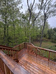 106 BOUNDARY LANE Trent Lakes Ontario photo 13