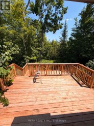 106 BOUNDARY LANE Trent Lakes Ontario photo 17