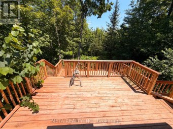 106 BOUNDARY LANE Trent Lakes Ontario photo 20