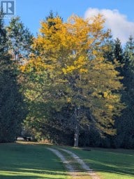 569025 6 SIDE ROAD Blue Mountains Ontario photo 23