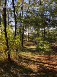 2509 12TH LINE Selwyn Ontario photo 47