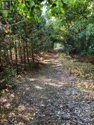 2509 12TH LINE Selwyn Ontario photo 48