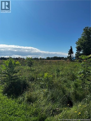Vacant  lot Beausoleil Street, Grande-Digue, New Brunswick, E4R3W2