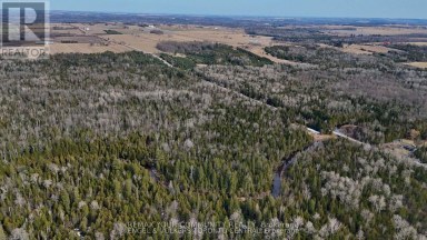 574 ZEPHYR RD Uxbridge Ontario photo 12