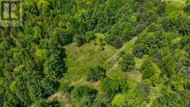 574 ZEPHYR RD Uxbridge Ontario photo 2