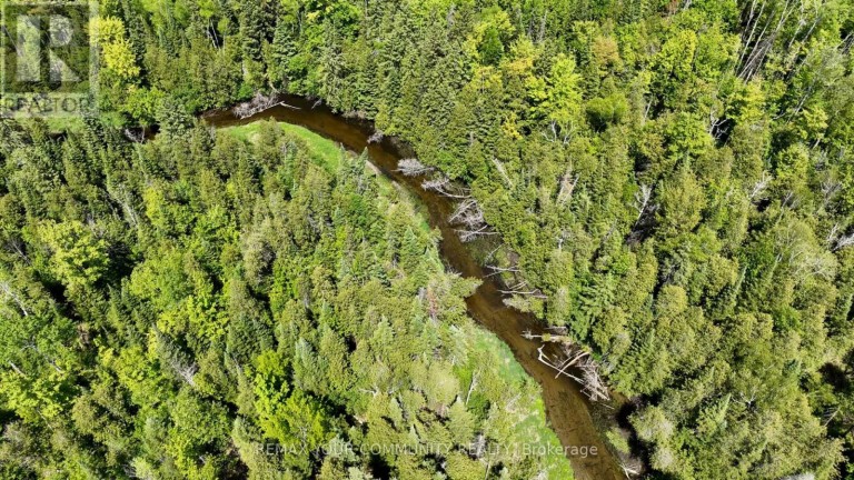 574 ZEPHYR RD, Uxbridge, Ontario, L9P1R2