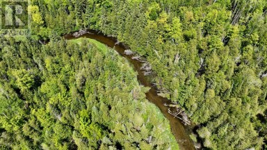 574 ZEPHYR RD Uxbridge Ontario photo 6
