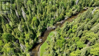 574 ZEPHYR RD Uxbridge Ontario photo 7