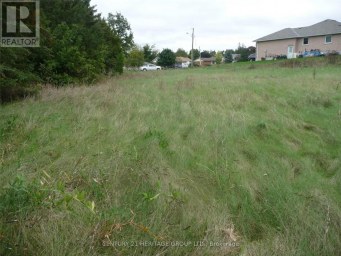 33 GRANT DRIVE Kawartha Lakes (Oakwood) Ontario photo 4