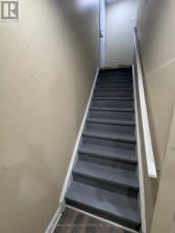 BASEMENT - 140 CADILLAC CRESCENT Brampton (Fletcher's Meadow) Ontario photo 3