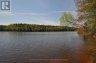 768 BIG ISLAND, Huntsville (stisted), Ontario, P1H2J2 (ID X13188764)