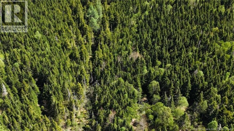 Lot Otter Lake Road, Baxters Corner, New Brunswick, E2S2N8