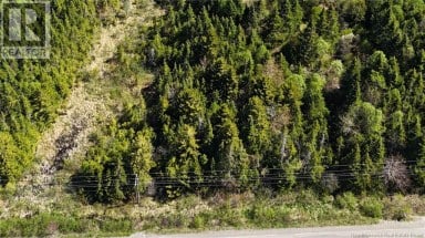 Lot Otter Lake Road Baxters Corner New Brunswick photo 3