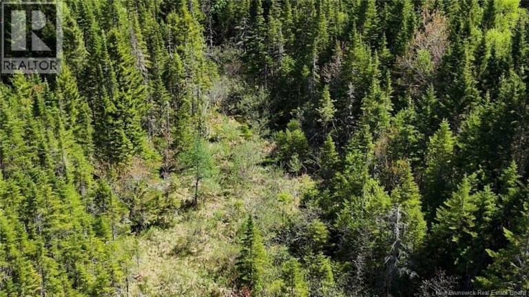 Lot Otter Lake Road, Baxters Corner, New Brunswick, E2S2N8