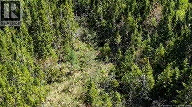 Lot Otter Lake Road Baxters Corner New Brunswick photo 4