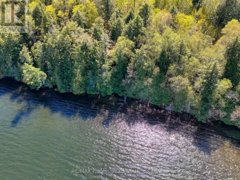 0 OLD SINCLAIR ROAD Lake of Bays (Sinclair) Ontario photo 10
