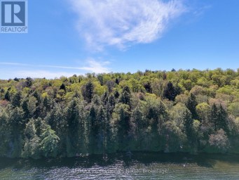 0 OLD SINCLAIR ROAD Lake of Bays (Sinclair) Ontario photo 9