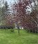 186 Killam Road, Killams Mills, New Brunswick, E4Z2X6 (ID NB139760)
