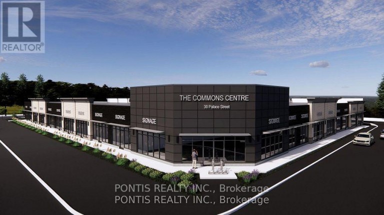 115 - 30 PALACE STREET, Kitchener, Ontario, N1R6J7