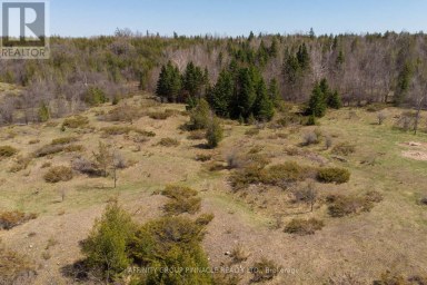 1178 COUNTY RD 121 ROAD Kawartha Lakes (Verulam) Ontario photo 15