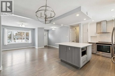 40 Henefer Road SW Calgary Alberta photo 9