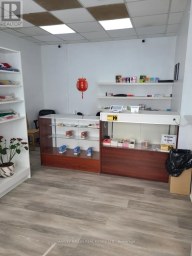 MAIN - 167 AUGUSTA AVENUE Toronto (Kensington-Chinatown) Ontario photo 4