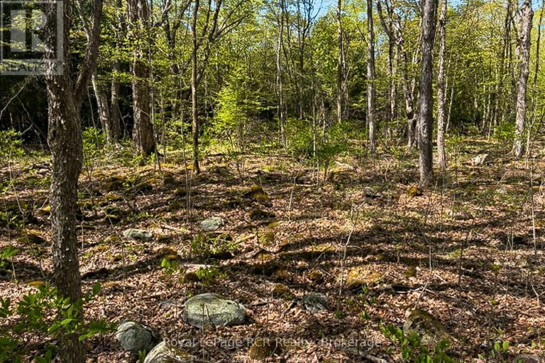N/A SUTTER ROAD ROAD W, Northern Bruce Peninsula, Ontario, N0H1W0