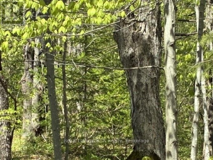 N/A SUTTER ROAD ROAD W, Northern Bruce Peninsula, Ontario, N0H1W0