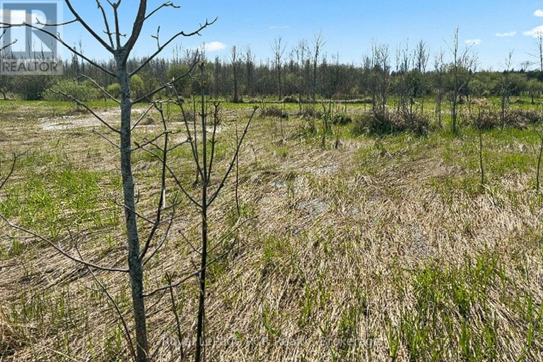 N/A SUTTER ROAD ROAD W, Northern Bruce Peninsula, Ontario, N0H1W0